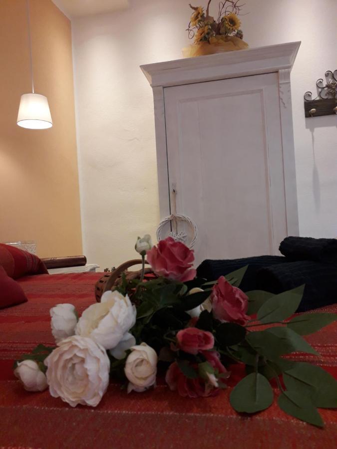 La Chicca Daire Pisa Dış mekan fotoğraf